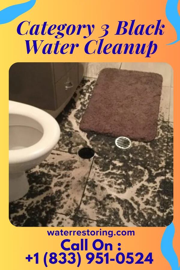 Category 3 Black Water Cleanup in Englewood, PA