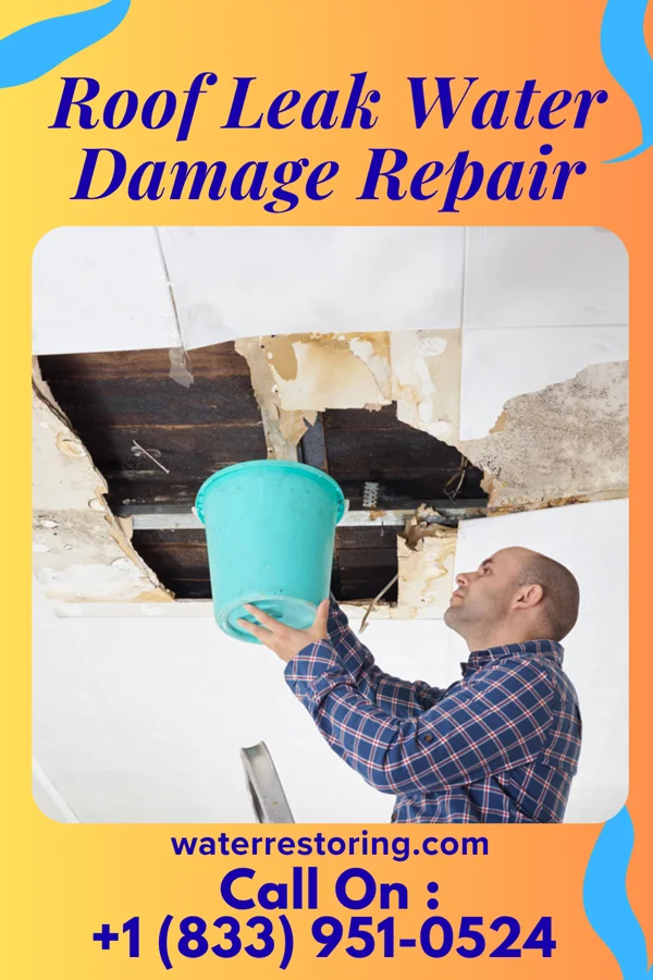 Roof Leak Water Damage Repair in Englewood, PA