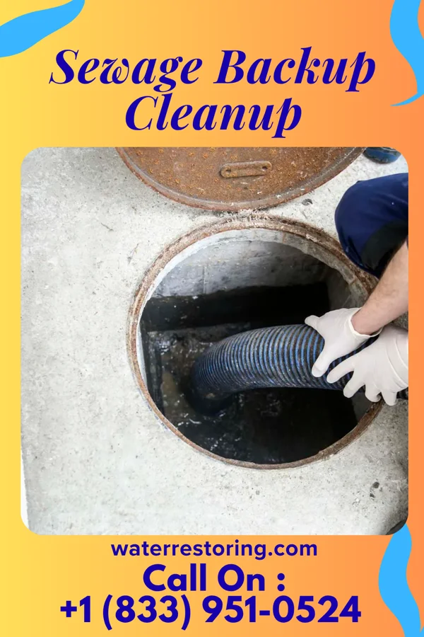 Sewage Backup Cleanup in Englewood, PA