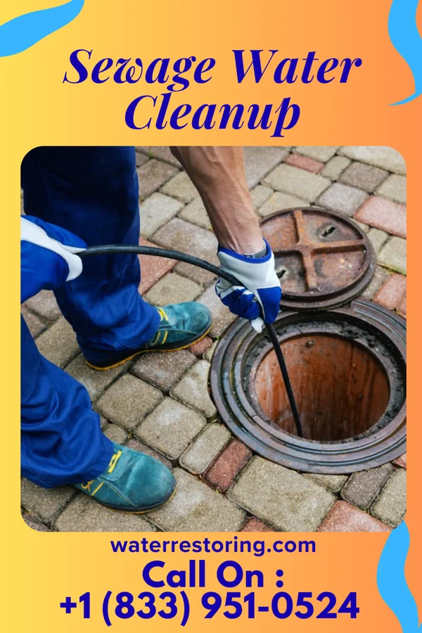 Sewage Water Cleanup in Englewood, PA