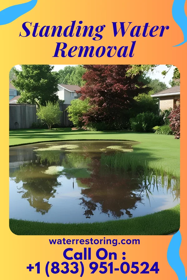 Standing Water Removal in Englewood, PA